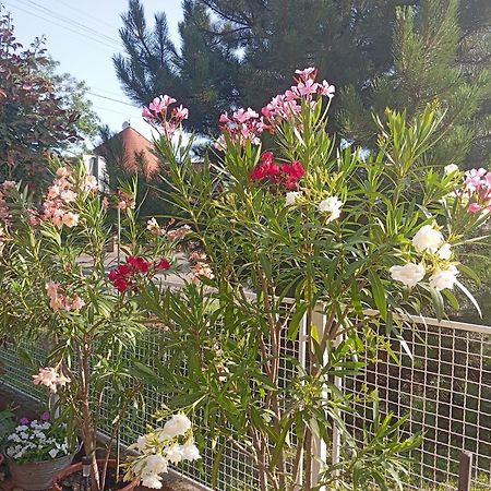 Hajdúszoboszló Marika Apartman מראה חיצוני תמונה