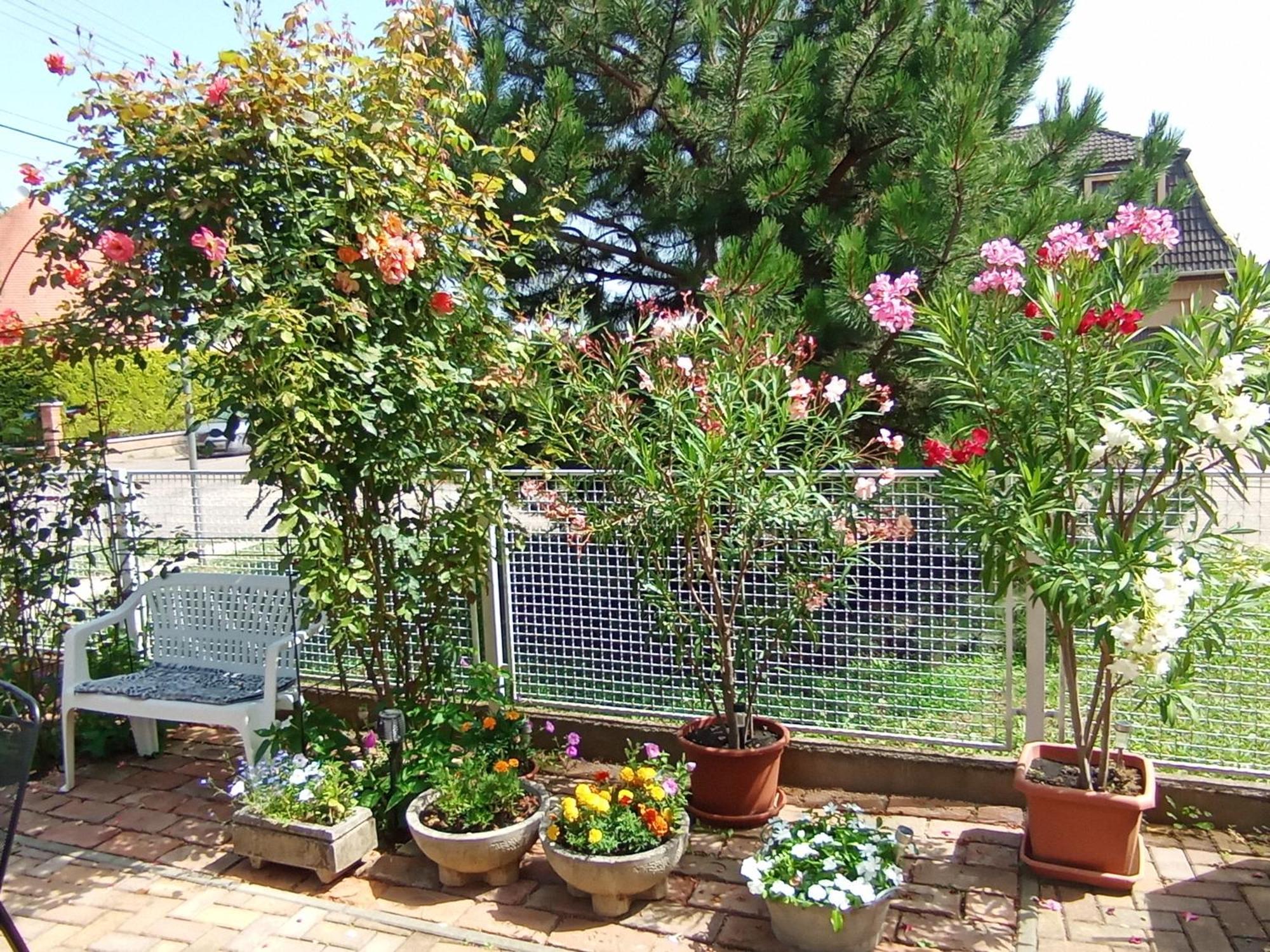 Hajdúszoboszló Marika Apartman מראה חיצוני תמונה