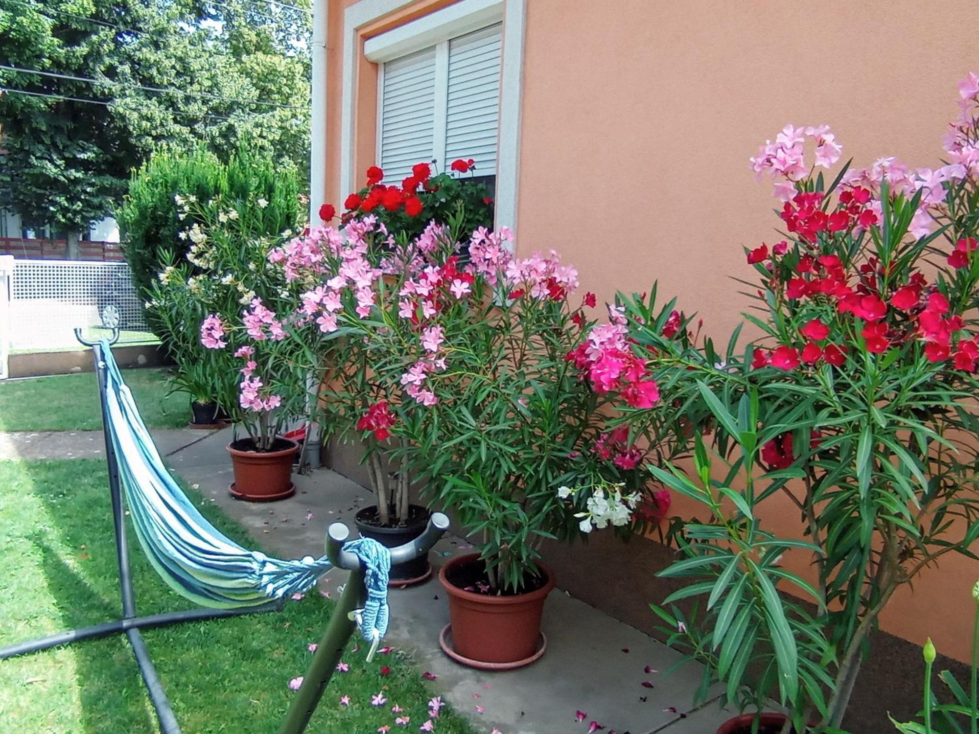 Hajdúszoboszló Marika Apartman מראה חיצוני תמונה