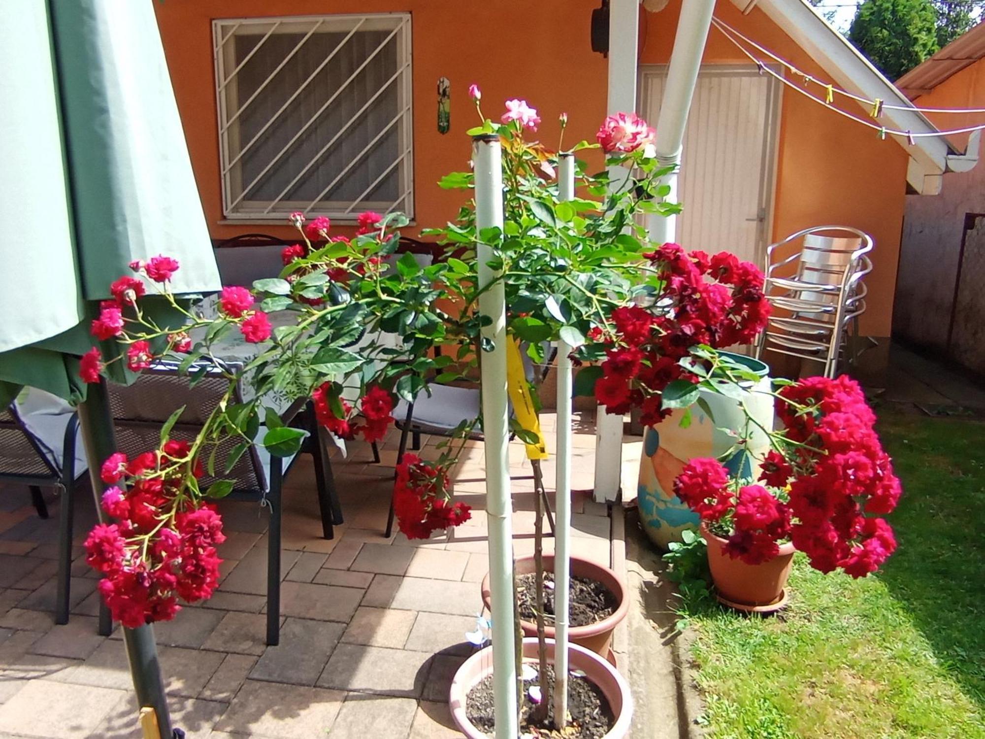 Hajdúszoboszló Marika Apartman מראה חיצוני תמונה